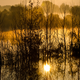 Illustration for article titled 166 Sunrises and Sunsets